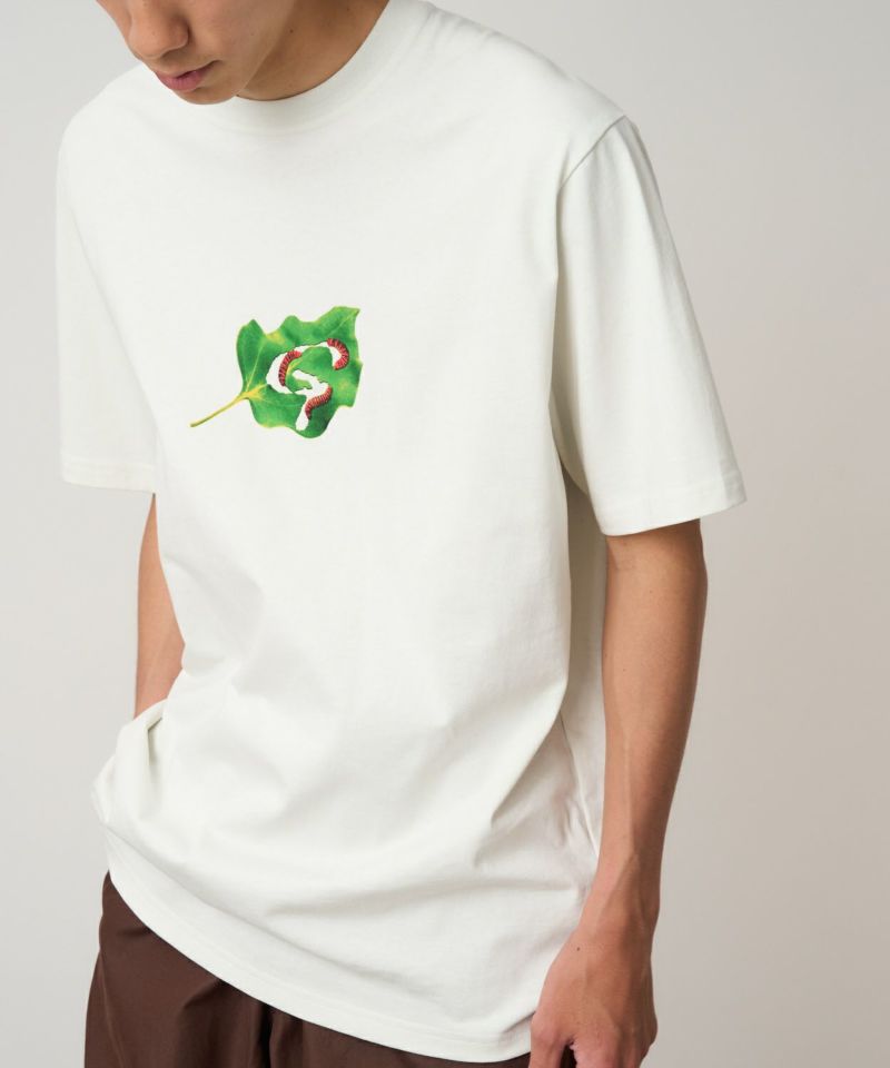 ルミっち リーフTシャツ | グラミチ 公式通販サイト Gramicci Online Store