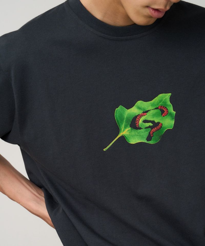 AcidBlackCherryファンクラブ グアム Tシャツ Amazon | AcidBlackCherryファンクラブ グアムTシャツ | Tシャツ