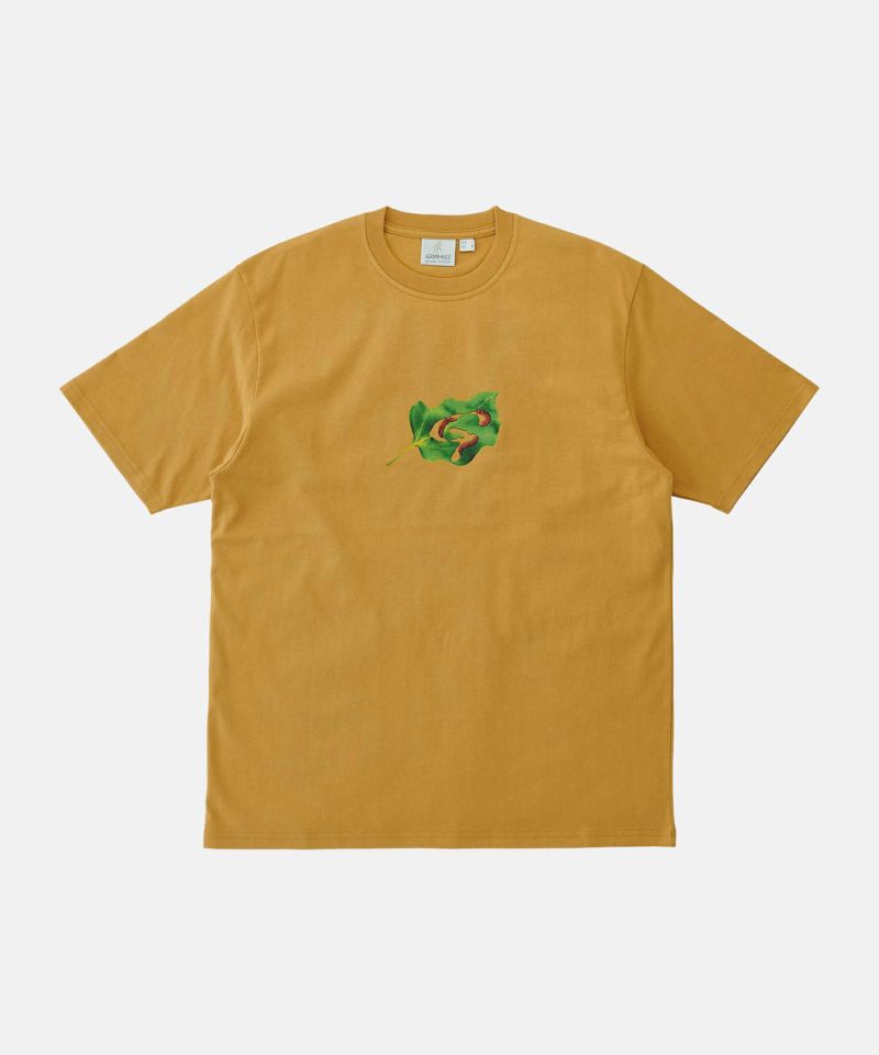 FANTASTICS 5周年記念 ファンクラブ限定 Tシャツ Lサイズ Amazon.co.jp: FANTASTICS 5th Anniversary Long Sleeve T-Shirt