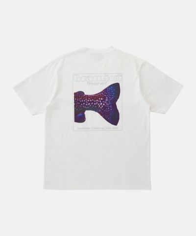 トラウトテイルロングスリーブTシャツ | グラミチ 公式通販
